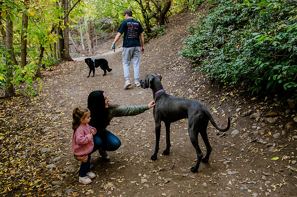 Family Bliss: Fall Portraits Amidst Nature's Beauty at Memory Grove and the Utah Capitol