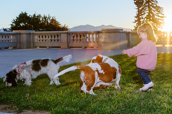 Family Bliss: Fall Portraits Amidst Nature's Beauty at Memory Grove and the Utah Capitol