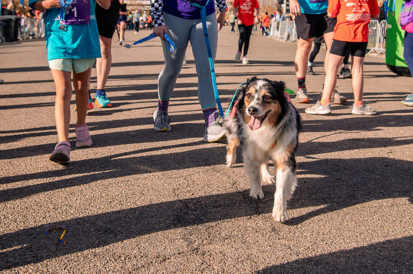 Girls on the Run 5K – Celebration of Strength at Sugarhouse Park7933