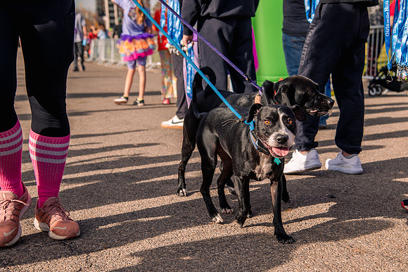 Girls on the Run 5K – Celebration of Strength at Sugarhouse Park8571