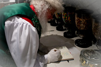 Kids and Santa – Holiday Portraits at Snell & Wilmer2229