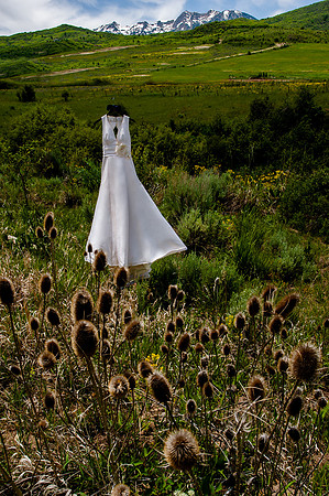 Wedding dress in a field with mountains in the back ground