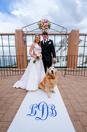 Bring your pet to the wedding and pose for portraits