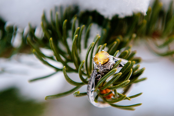 Wedding rings pine and snow