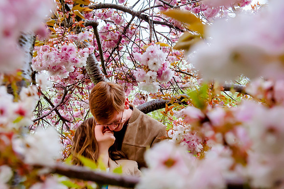 Two lovers snuggling in pink blossoms