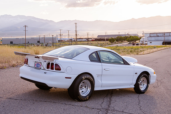 Race Car Mustang-1648