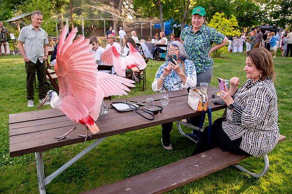 Ready to Hatch – Tracy Aviary’s Signature Spring Fundraise5922