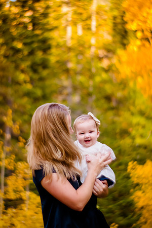 Peterson 2016-3152