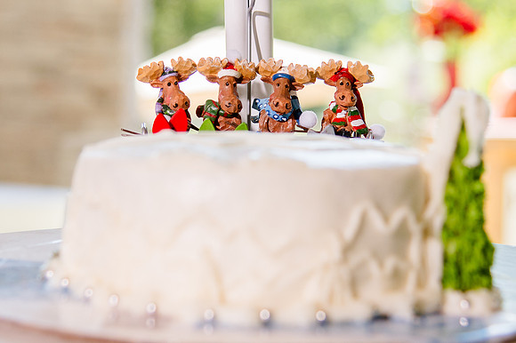 Celebrating Megan and Seth: A Festive Reception at River Oaks Golf Course