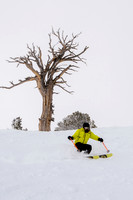 3-31-16 Snowbasin Ski-6511