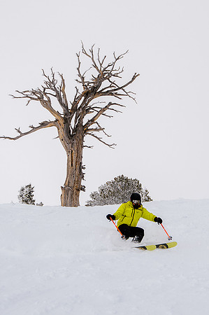 3-31-16 Snowbasin Ski-6511
