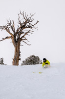 3-31-16 Snowbasin Ski-6506