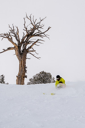 3-31-16 Snowbasin Ski-6506