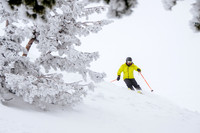 3-31-16 Snowbasin Ski-6457