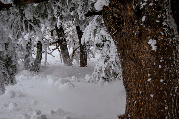 3-31-16 Snowbasin Ski-6464