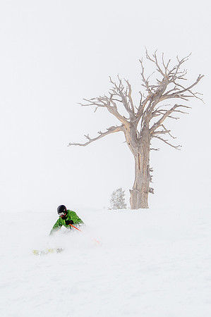 3-31-16 Snowbasin Ski-6662