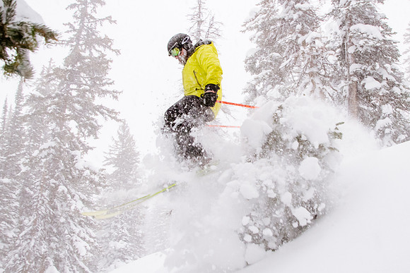 Brighton Powder 1-4-17-8028