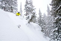 Brighton Powder 1-4-17-7690