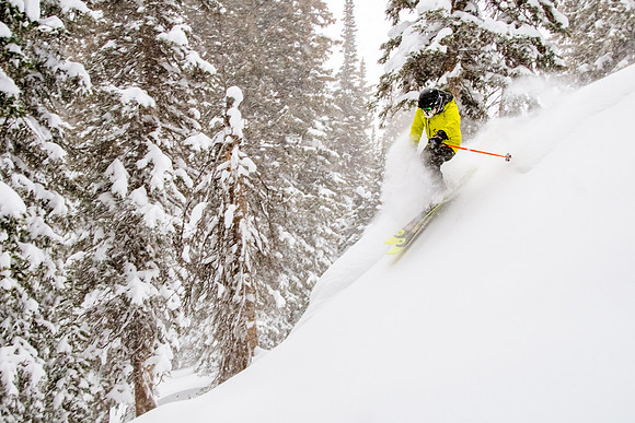 Brighton Powder 1-4-17-8082