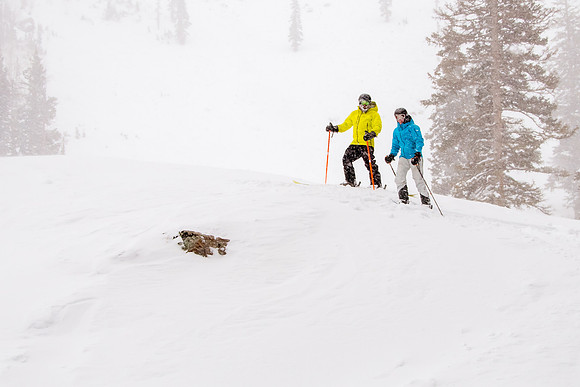 Brighton Powder 1-4-17-8284