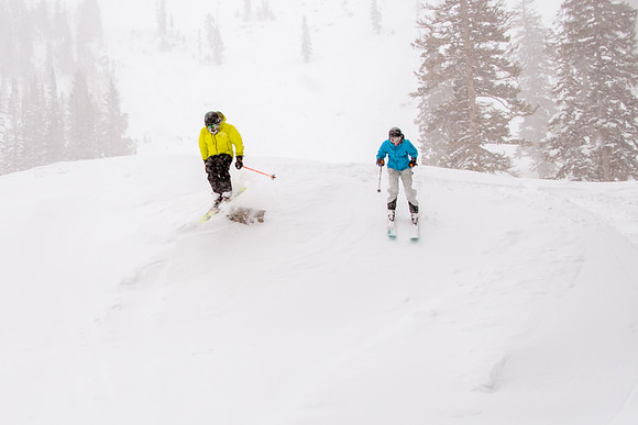 Brighton Powder 1-4-17-8285