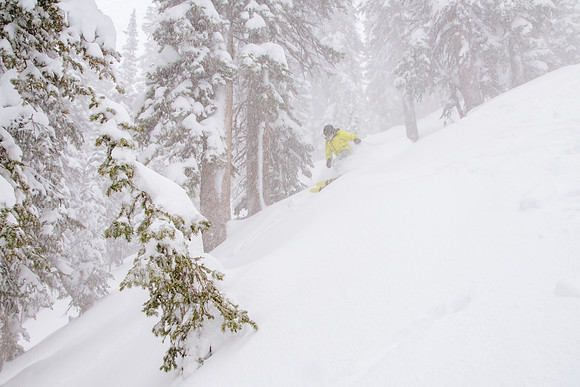 Brighton Powder 1-4-17-7992