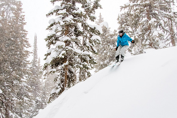 Brighton Powder 1-4-17-8096