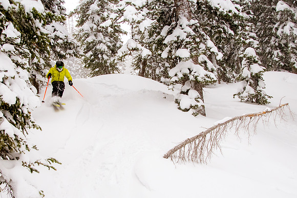 Brighton Powder 1-4-17-8271