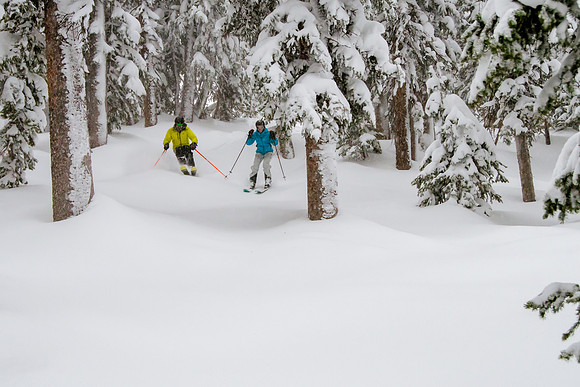 Brighton Powder 1-4-17-7806