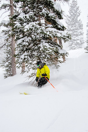 Brighton Powder 1-4-17-7745