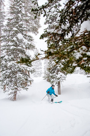 Brighton Powder 1-4-17-7728