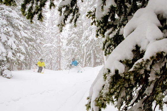 Brighton Powder 1-4-17-8047