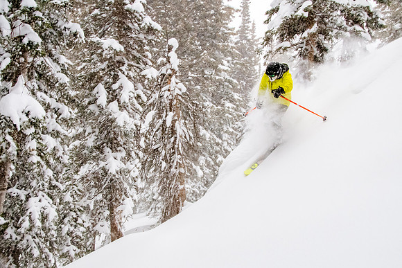 Brighton Powder 1-4-17-8083