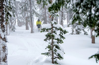 Brighton Powder 1-4-17-7633