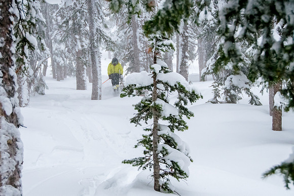Brighton Powder 1-4-17-7633