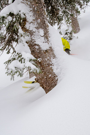 Brighton Powder 1-4-17-7879