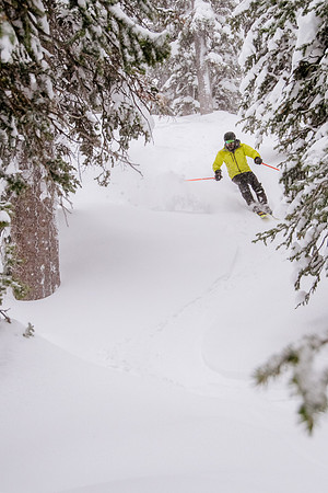Brighton Powder 1-4-17-7866