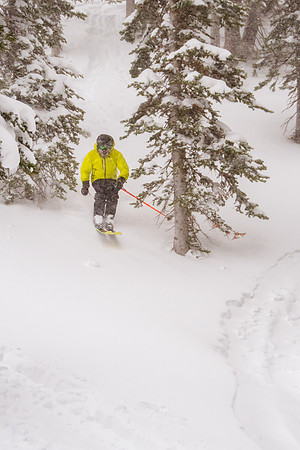 Brighton Powder 1-4-17-8236