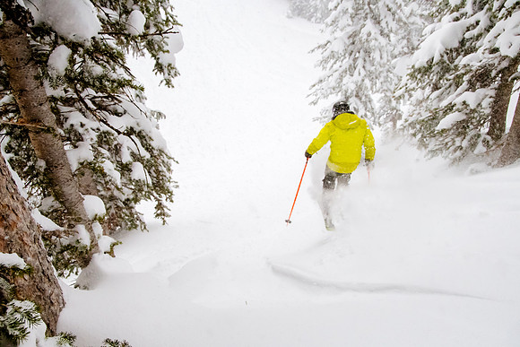 Brighton Powder 1-4-17-8114