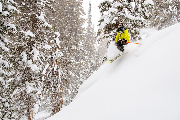 Brighton Powder 1-4-17-8081