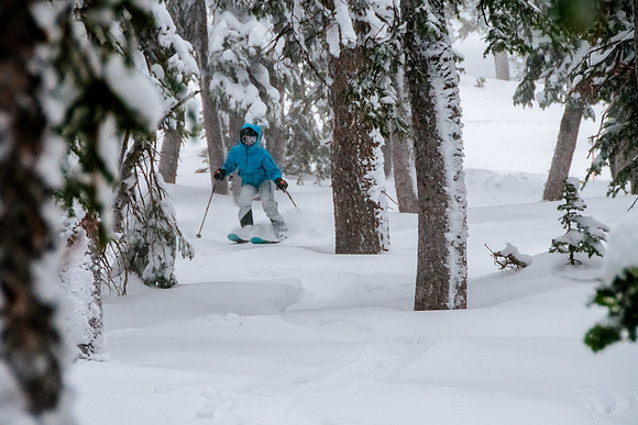 Brighton Powder 1-4-17-7600