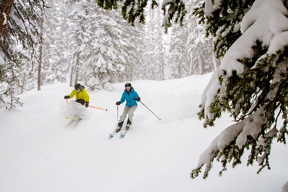 Brighton Powder 1-4-17-8059
