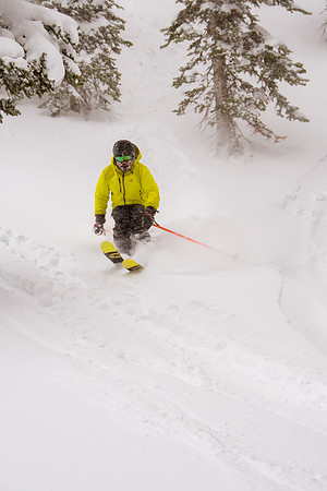 Brighton Powder 1-4-17-8244