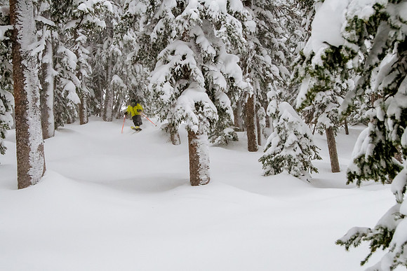Brighton Powder 1-4-17-7802