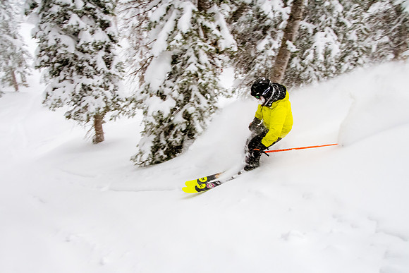 Brighton Powder 1-4-17-8091