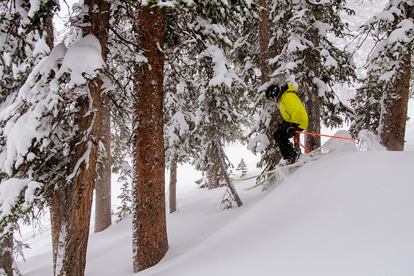 Brighton Powder 1-4-17-7930