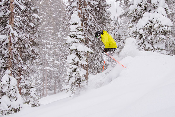Brighton Powder 1-4-17-7909