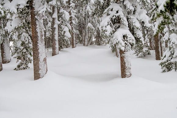 Brighton Powder 1-4-17-7799