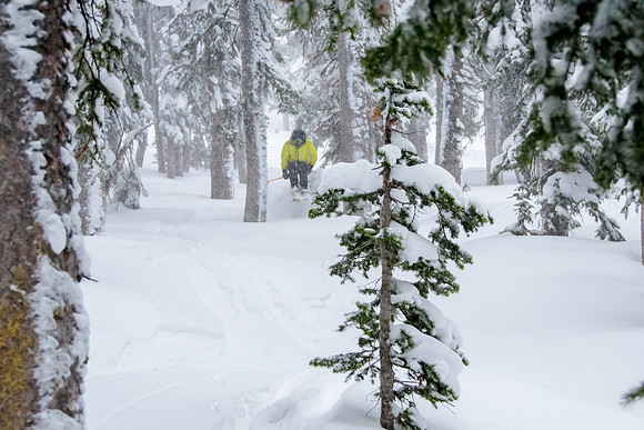 Brighton Powder 1-4-17-7634
