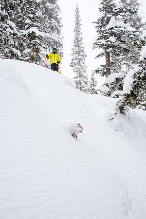 Brighton Powder 1-4-17-7686